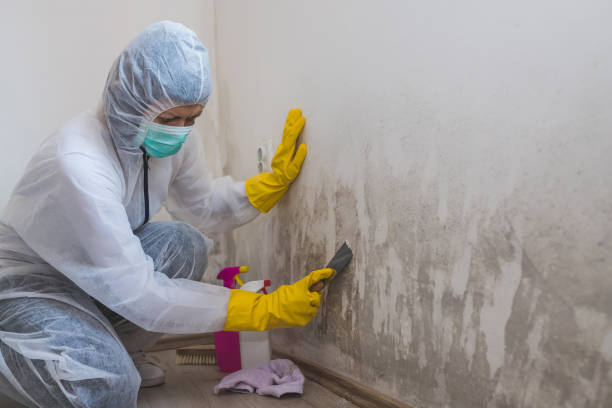 Best Water Damage Restoration  in Garden Plain, KS