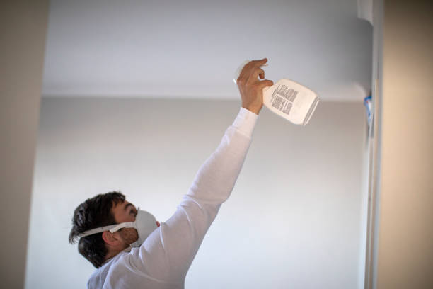 Best Water Damage Restoration  in Garden Plain, KS