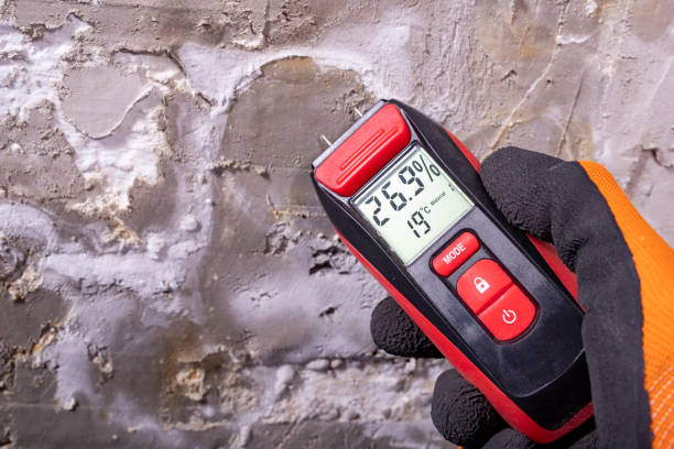 Best Mold Testing  in Garden Plain, KS
