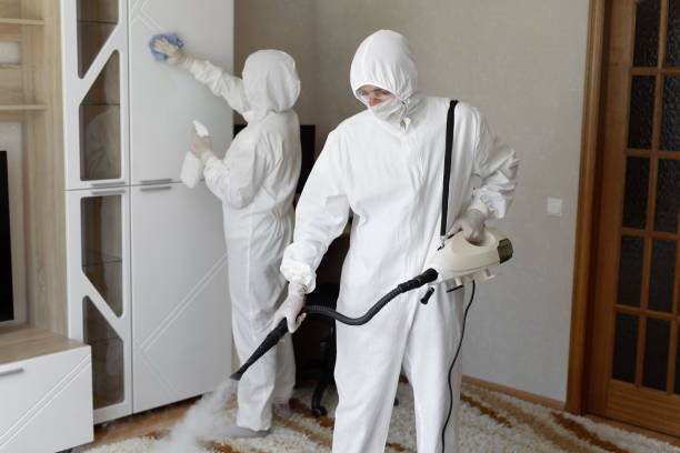 Best Mold Remediation Experts  in Garden Plain, KS