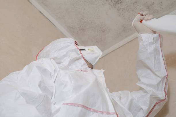 Best Black Mold Removal  in Garden Plain, KS