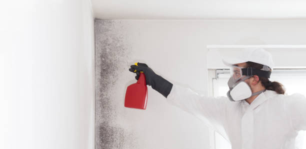 Best Residential Mold Removal  in Garden Plain, KS